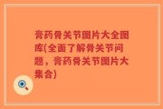 膏药骨关节图片大全图库(全面了解骨关节问题，膏药骨关节图片大集合)
