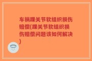 车祸踝关节软组织损伤赔偿(踝关节软组织损伤赔偿问题该如何解决)