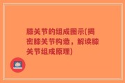 膝关节的组成图示(揭密膝关节构造，解读膝关节组成原理)