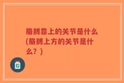 胳膊靠上的关节是什么(胳膊上方的关节是什么？)