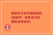 解剖学之关节辅助结构(解剖学：探索关节的辅助支撑系统)