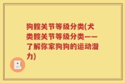 狗髋关节等级分类(犬类髋关节等级分类——了解你家狗狗的运动潜力)