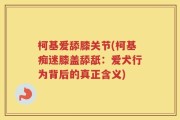 柯基爱舔膝关节(柯基痴迷膝盖舔舐：爱犬行为背后的真正含义)