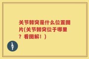 关节棘突是什么位置图片(关节棘突位于哪里？看图解！)