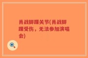 肖战脚踝关节(肖战脚踝受伤，无法参加演唱会)