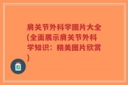 肩关节外科学图片大全(全面展示肩关节外科学知识：精美图片欣赏)