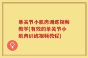 单关节小肌肉训练视频教学(有效的单关节小肌肉训练视频教程)