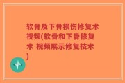 软骨及下骨损伤修复术视频(软骨和下骨修复术 视频展示修复技术)