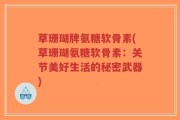草珊瑚牌氨糖软骨素(草珊瑚氨糖软骨素：关节美好生活的秘密武器)
