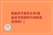 膝盖关节是怎么样(膝盖关节的结构与功能是怎样的？)