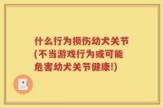 什么行为损伤幼犬关节(不当游戏行为或可能危害幼犬关节健康!)