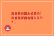 趾骨具有滑车关节吗(趾骨是否拥有滑车关节？)