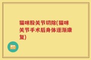猫咪股关节切除(猫咪关节手术后身体逐渐康复)