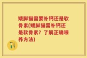 矮脚猫需要补钙还是软骨素(矮脚猫需补钙还是软骨素？了解正确喂养方法)