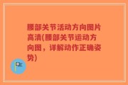 腰部关节活动方向图片高清(腰部关节运动方向图，详解动作正确姿势)