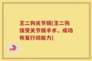 王二狗关节镜(王二狗接受关节镜手术，成功恢复行动能力)