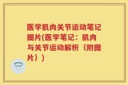 医学肌肉关节运动笔记图片(医学笔记：肌肉与关节运动解析（附图片）)