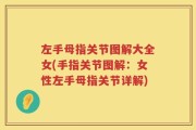 左手母指关节图解大全女(手指关节图解：女性左手母指关节详解)