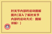 肘关节内部的运动图解图片(深入了解肘关节内部的运动方式：图解详解！)