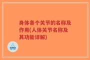 身体各个关节的名称及作用(人体关节名称及其功能详解)