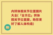 内转体髋关节位置图片大全(「全方位」转体髋关节位置图，助你更好了解人体构造)