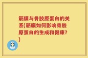 筋膜与骨胶原蛋白的关系(筋膜如何影响骨胶原蛋白的生成和健康？)