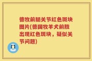 德牧前腿关节红色斑块图片(德国牧羊犬前肢出现红色斑块，疑似关节问题)