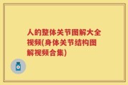 人的整体关节图解大全视频(身体关节结构图解视频合集)