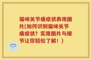 猫咪关节痛症状表现图片(如何识别猫咪关节痛症状？实用图片与细节让你轻松了解！)
