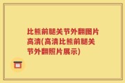 比熊前腿关节外翻图片高清(高清比熊前腿关节外翻照片展示)