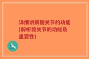 详细讲解髋关节的功能(解析髋关节的功能及重要性)