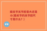 膝关节关节腔是大还是小(膝关节的关节腔尺寸是什么？)
