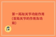 第一跖趾关节功能作用(首跖关节的作用及功能)
