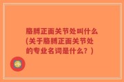 胳膊正面关节处叫什么(关于胳膊正面关节处的专业名词是什么？)