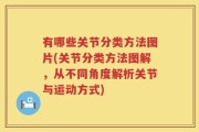 有哪些关节分类方法图片(关节分类方法图解，从不同角度解析关节与运动方式)