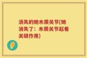 消失的她木质关节(她消失了：木质关节起着关键作用)