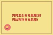 狗狗怎么补充氨糖(如何给狗狗补充氨糖)
