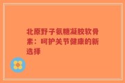 北原野子氨糖凝胶软骨素：呵护关节健康的新选择