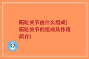跖趾关节由什么组成(跖趾关节的组成及作用简介)