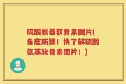 硫酸氨基软骨素图片(角度新颖！快了解硫酸氨基软骨素图片！)