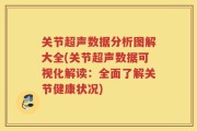 关节超声数据分析图解大全(关节超声数据可视化解读：全面了解关节健康状况)