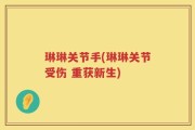 琳琳关节手(琳琳关节受伤 重获新生)