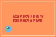 鲨鱼被称为软骨素 背后隐藏着怎样的秘密