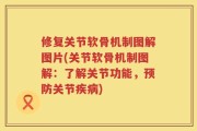 修复关节软骨机制图解图片(关节软骨机制图解：了解关节功能，预防关节疾病)