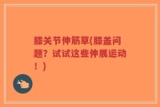 膝关节伸筋草(膝盖问题？试试这些伸展运动！)