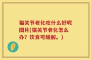 猫关节老化吃什么好呢图片(猫关节老化怎么办？饮食可缓解。)