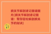 腕关节解剖速记图谱图片(腕关节解剖速记图谱：帮你轻松解剖腕关节的秘诀)