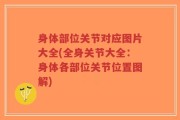 身体部位关节对应图片大全(全身关节大全：身体各部位关节位置图解)