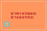 路飞哪个关节都能动(路飞全身关节灵活)