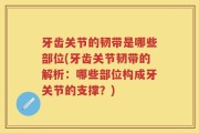 牙齿关节的韧带是哪些部位(牙齿关节韧带的解析：哪些部位构成牙关节的支撑？)